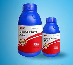 果靓红